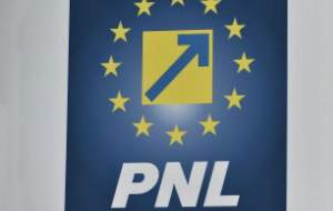 Un primar PNL şi patru consilieri, excluşi pentru că ar fi făcut campanie pentru PSD