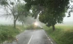 Prăpăd în Botoșani: furtuna a smuls copacii din rădăcini și a distrus acoperișurile caselor (VIDEO)