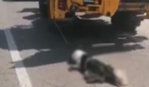 Revoltător! Câine târât pe stradă de un buldoexcavator: un dosar penal a fost deschis în acest caz (VIDEO)