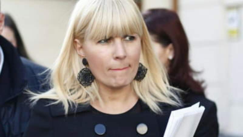 Elena Udrea atacă la CCR legile prin care i-au fost confiscați 4,7 milioane de euro