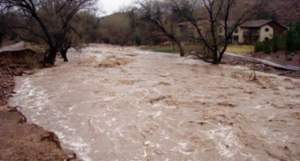 Guvernul alocă 274 de milioane de lei pentru refacrerea infrastructirii afectate de inundații