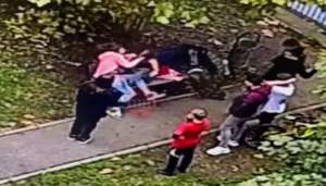 Bătaie într-un parc din Baia Mare: două adolescente și-au împărți pumni și palme sub privirile oamenilor (VIDEO)