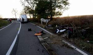 Căruță spulberată de un microbuz, în Botoșani: doi soți au scăpat, ca prin minune, cu viață. Unul dintre cai a murit pe loc