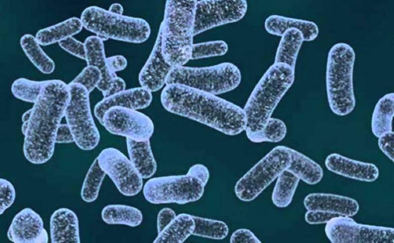 Superbacteria care amenință omenirea: face ravagii în China și e rezistentă la antibiotice