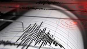 Cutremur cu magnitudinea 3,9 pe Richter în județul Buzău, duminică dimineața