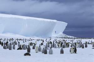 Studiu: cel mai curat aer de pe planetă este la Polul Sud