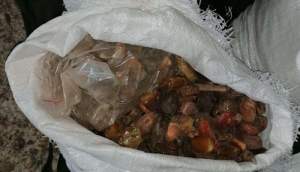 Comoara din mașină: 250 kg de pietre semiprețioase descoperite în autoturismul unui ucrainean oprit în trafic, în Satu Mare