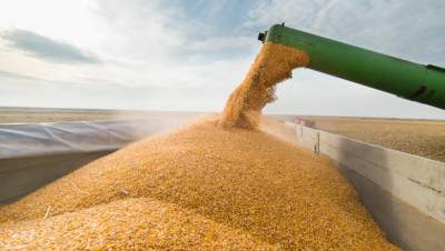 INS: Exporturile de cereale și preparate pe bază de cereale au depășit 2 miliarde de euro, în primele 5 luni din 2022
