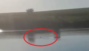 Șocant! Un bărbat din Călărași a fost filmat în timp ce se îneca. Martorii: „Se îneacă. S-a înecat” (VIDEO)