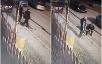Revoltător! Bătrân din Iași lovit cu picioarele în plină stradă, după un conflict verbal (VIDEO)