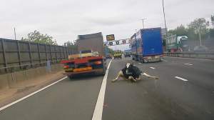 Momentul în care o vacă „zboară” dintr-un camion direct în mijlocul drumului, pe Autostrada M6 din Marea Britanie (VIDEO)