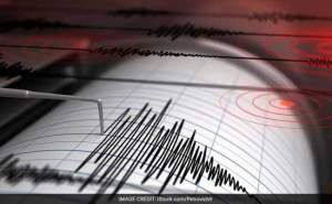 Cutremur cu magnitudinea de 4,1 pe scara Richter în județul Buzău