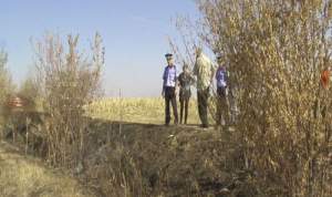 Moarte suspectă în Botoșani: bărbat găsit carbonizat pe câmp