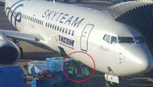 Aeronavă TAROM, avariată pe aeroportul din Amsterdam
