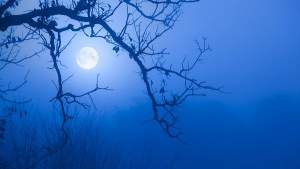 Fenomen astronomic rar, în această noapte: LUNA ALBASTRĂ