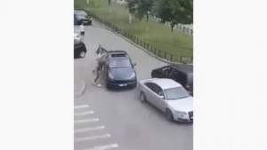 Teroare în Craiova: bătaie în stradă cu bâte între grupările de interlopi (VIDEO)