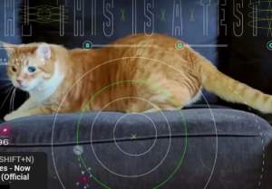 Cum a ajuns o pisică să facă parte din noul experiment al NASA. Secvențele au „călătorit” 30 de milioane de kilometri
