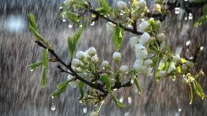 Vremea va intra într-un proces semnificativ de răcire de miercuri, 17 aprilie. Ploi însemnate cantitativ în întreaga țară