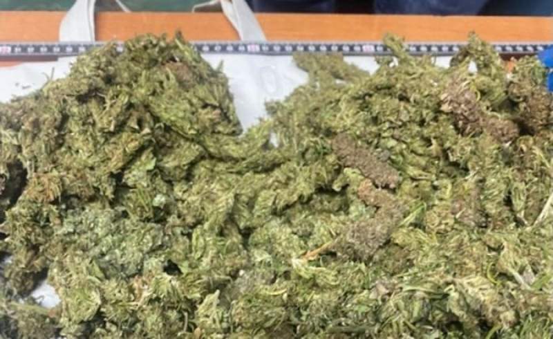 Clujeni prinși în flagrant de polițiștii Antidrog din Satu Mare cu 2,5 kilograme de muguri de cannabis