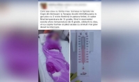 Scandal la Spitalul de Copii din Botoşani: „Vii cu copilul bolnav la spital și pleci acasă cu el mult mai grav decât la internare”