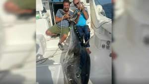Captură-record în Adriatica: Doi pescari din Croația au prins un ton de peste 200 de kilograme