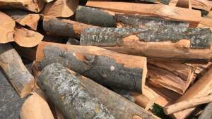 Guvernul va îngheța miercuri prețurile la lemnele de foc: Peste 3 milioane de gospodării, afectate de creșteri artificiale de preț