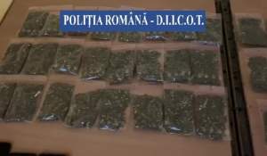 1,2 kilograme de substanțe psihoactive ridicate de la traficanții de etnobotanice din Buzău și Galați (VIDEO)