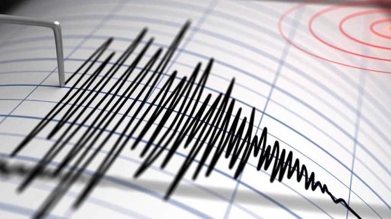 Un cutremur de magnitudine 4,2 s-a produs la mică adâncime în județul Vaslui: s-a resimțit și la Iași