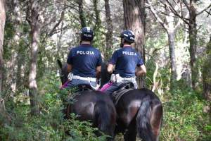 Român căutat de Europol, arestat întâmplător în Italia pentru că nu respecta măsurile de izolare