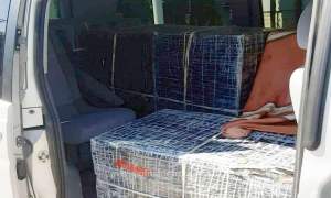 Țigări de contrabandă în valoare de peste 118.000 de lei găsite într-un microbuz, în Botoșani (VIDEO)