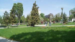 Unde vor avea loc lucrări de modernizare și amenajare a spațiilor verzi din Iași