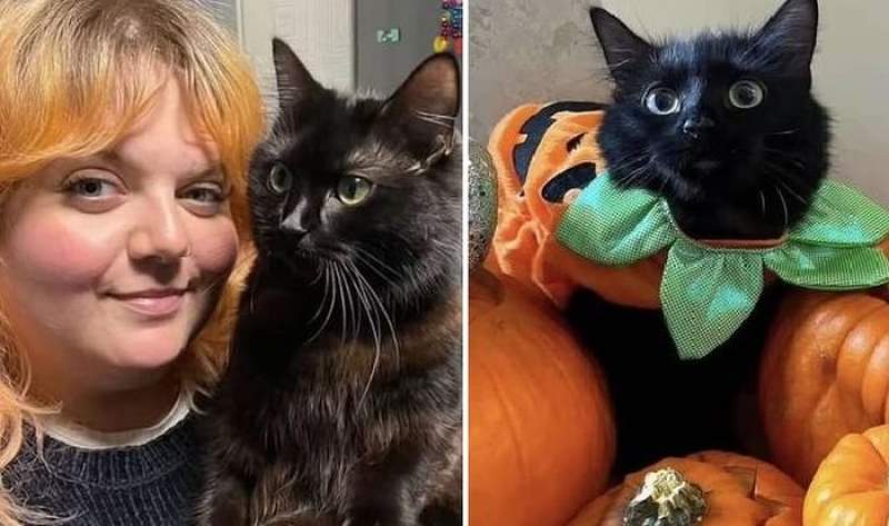 O studentă din Anglia a cheltuit o avere la veterinar doar pentru a i se spune că pisica ei este... „ciudată”