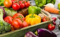 Programul „Tomata”, extins și pentru cei care cultivă alte legume în spații protejate