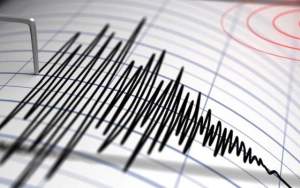 Cutremur cu magnitudinea 4,8 în județul Buzău, la miezul nopții