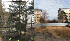 Ziua măcelului, 21 decembrie 2019 (sursa: Cont Facebook Lăcrămioara Petrescu) și cum arată terenul acum: nici un copac