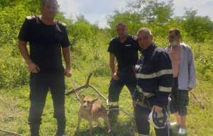 Câine salvat de pompierii sibieni dintr-o fântână adâncă de 12 metri
