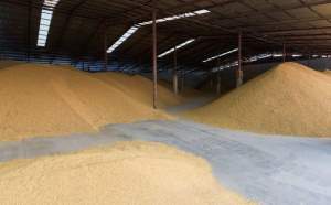 Ambasadorul Kievului la Ankara: Turcia cumpără cerealele furate de Rusia din Ucraina