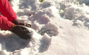 O joacă de copii în zăpadă la Gherla a degenerat într-un scandal cu urmăriri și bătăi între adulți