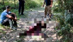 Urs ucis și tranșat de doi braconieri în Dâmbovița: când au fost prinși, i-au amenințat pe paznici cu un cuțit