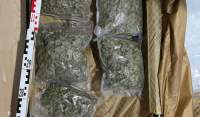 16 kilograme de cannabis și 600 de grame de cocaină descoperite în urma a două percheziții în Cluj