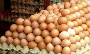 265.000 de ouă contaminate cu Salmonella, oprite de la comercializare de inspectorii ANSVSA