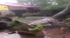 UPDATE. Furtună devastatoare în Timiș: opt morți și 62 de răniți