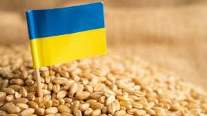 Ministerul Agriculturii: România va restricționa exportul ucrainean de cereale și va lua măsuri suplimentare de monitorizare a tranzitului