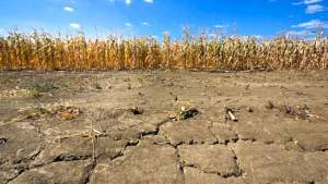 Aproape jumătate din teritoriul UE, printre care și România, sub risc de secetă. Continentul trece printr-un episod neobişnuit de caniculă