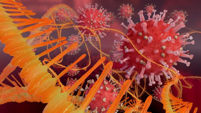 Tulpina super-mutantă de coronavirus a primit numele Omicron, iar OMS a declarat-o „variantă îngrijorătoare”