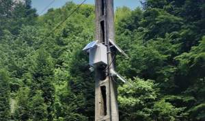 Romsilva a montat 177 de camere de monitorizare pentru prevenirea tăierilor ilegale în fondul forestier administrat