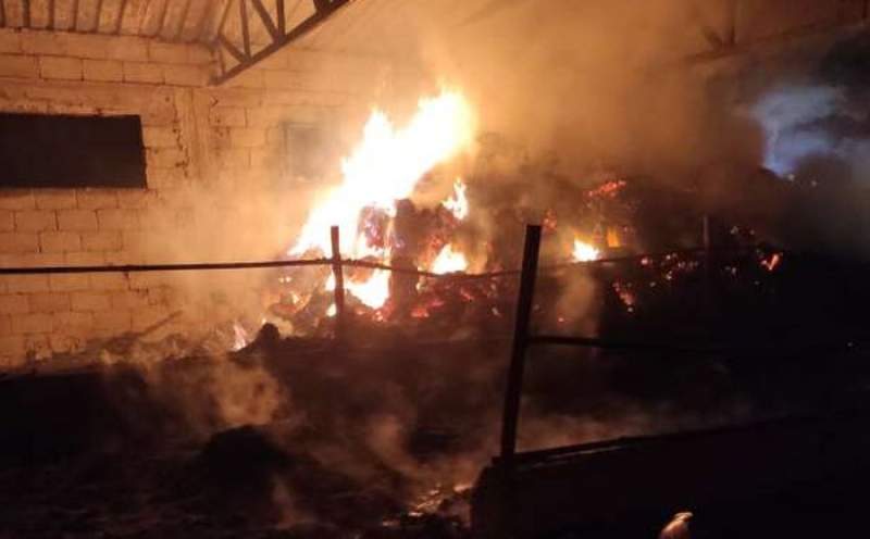 350 de rațe și 60 de iepuri au murit într-un incendiu devastator izbucnit într-o gospodărie din Botoșani