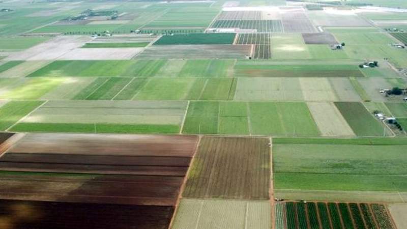 80% dintre terenurile agricole ieșene nu sunt înregistrate în Sistemul informatic integrat de cadastru și carte funciară