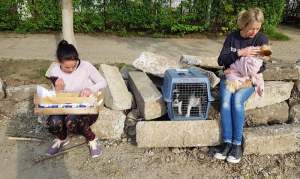 Rodica Miron (stânga) și Evie, partenera din Belgia au creat un veritabil pod de adopții, cu peste 1.300 de câini trimiși până acum. Transportul e 90 de euro/câine, iar „taxa” de adopție e 125 de euro