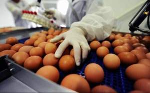 Fermierii români vând cele mai ieftine ouă din Uniunea Europeană: vânzările au scăzut cu 30%